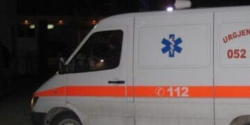 TRAGJIKE/ BABË E BIJË PO SHKONIN PER PUNE TE KAMPI I GJADRIT, GJENDEN Të VDEKUR NË MAKINEN E TYRE