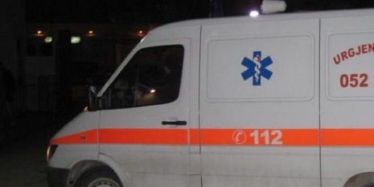 TRAGJIKE/ BABË E BIJË PO SHKONIN PER PUNE TE KAMPI I GJADRIT, GJENDEN Të VDEKUR NË MAKINEN E TYRE