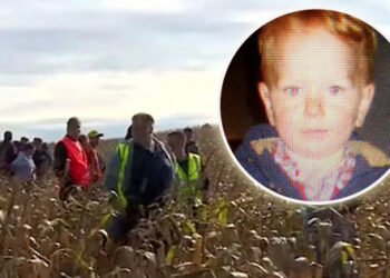 Djali 3-vjeçar u zhduk në një fushë të madhe me misër . Pas 20 orësh kërkimi, i huaji sheh një këmbë …