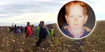 Djali 3-vjeçar u zhduk në një fushë të madhe me misër . Pas 20 orësh kërkimi, i huaji sheh një këmbë …