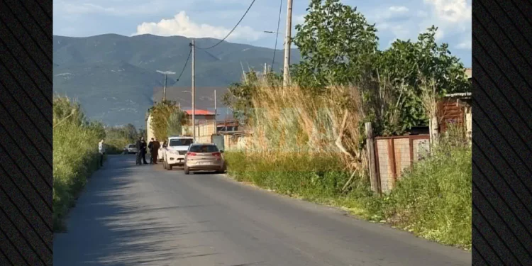 Vritet një shqiptar në Greqi, shpallet në kërkim pronari grek