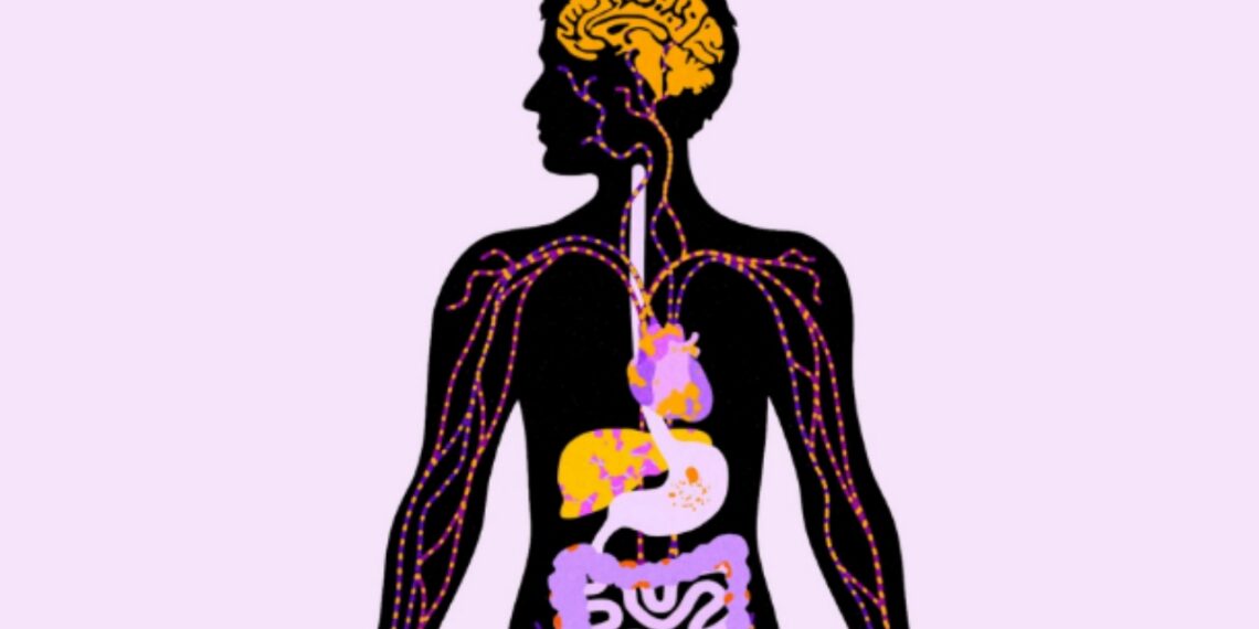 HABIT studimi, konsumi i këtij produkti po dëmton organet jetike…