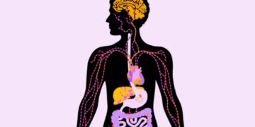 HABIT studimi, konsumi i këtij produkti po dëmton organet jetike…