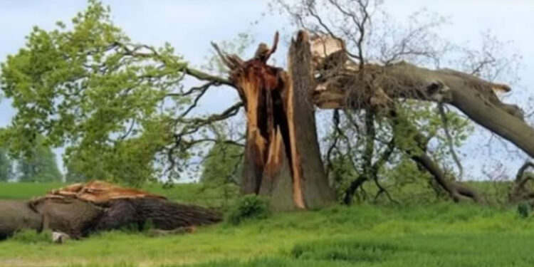 Lisi u godit nga rrufeja, kur shkoi ta priste, burri nuk u beson syve çfarë gjen brenda
