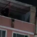 VIDEO E RËNDË/ 2-vjeçari bie nga kati i katërt i pallatit, momenti kur shpëtohet nga banorët