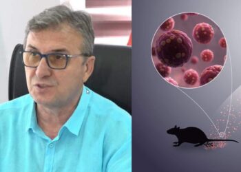 Frika nga hantavirusi? Mjeku Brataj zbulon detaje për virusin dhe trajtimin e tij