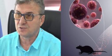Frika nga hantavirusi? Mjeku Brataj zbulon detaje për virusin dhe trajtimin e tij