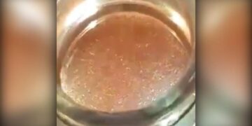 Skandal/ Uthull me krimba studentëve të Akademisë së Sigurisë që u helmuan..(Video)