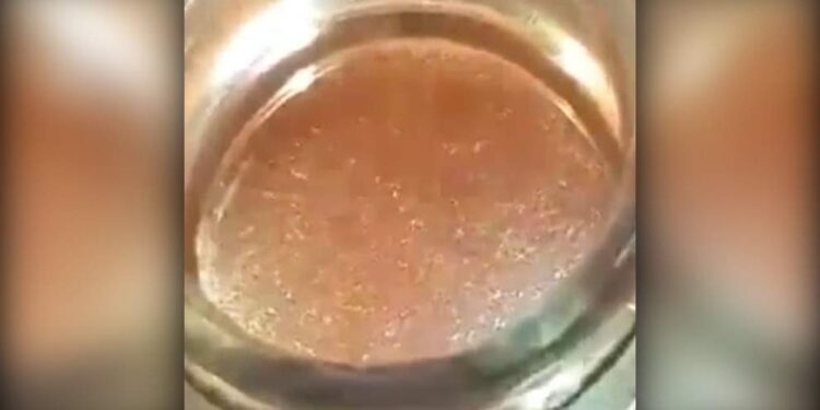 Skandal/ Uthull me krimba studentëve të Akademisë së Sigurisë që u helmuan..(Video)