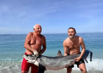 Kapet peshkaqeni dy metra i gjatë në bregdetin e jugut..