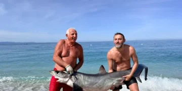 Kapet peshkaqeni dy metra i gjatë në bregdetin e jugut..