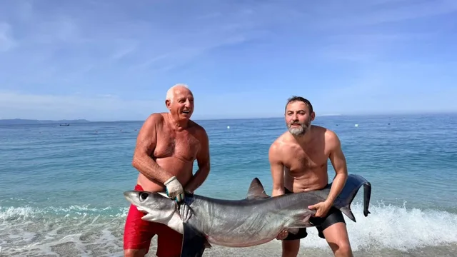 Kapet peshkaqeni dy metra i gjatë në bregdetin e jugut..