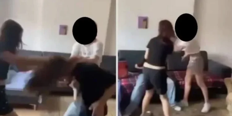 Dhunimi i të miturës në Fier, në pranga 19-vjeçarja. 15-vjeçarja që e shoqëronte arrestohet pasi kishte rrahur edhe..