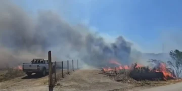 Zjarr shkatërrimtar në Fier! Evakuohen familje dhe rrezikohen fshatra të tëra..