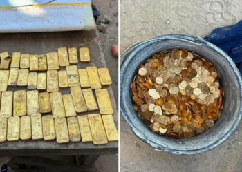 Punëtorët zbulojnë një thesar të fshehur në bodrumin e një shtëpie me vlerë miliona euro. Kujt i takon sipas ligjit?
