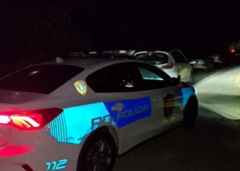 E rëndë në Lushnje, i riu vret nënën dhe plagos rëndë babanë me sqepar, Policia: Dyshohet se..
