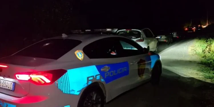 E rëndë në Lushnje, i riu vret nënën dhe plagos rëndë babanë me sqepar, Policia: Dyshohet se..