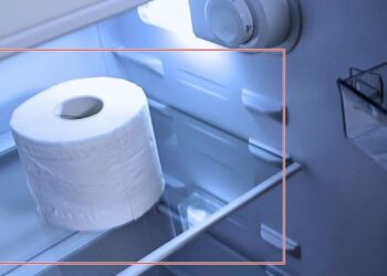 Pse duhet të vendosni letër higjienike në frigorifer? Duket qesharake, por do të befasoheni