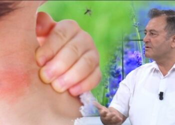 Ju bezdisin mushkonjat?Ylli Merja: Ju tregoj sekretin si të shpëtoni një herë e mirë