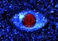 E trishtë! Humb jetën në moshën 29-vjeçare ish-banori i “Big Brother VIP”
